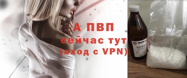 jwh Пересвет