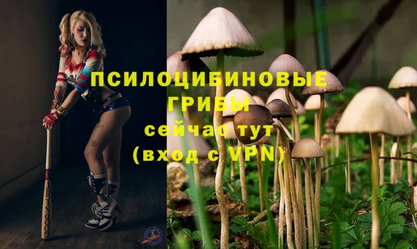 jwh Пересвет
