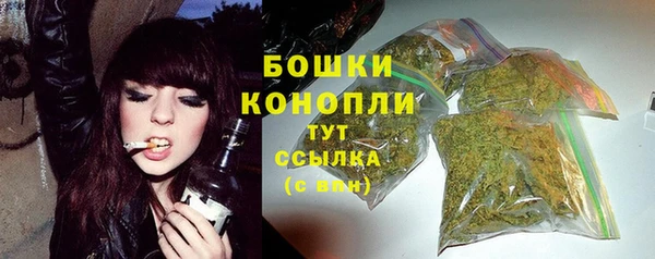 jwh Пересвет