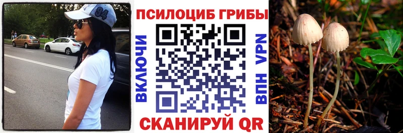 Галлюциногенные грибы Cubensis  MEGA ONION  Нягань  дарнет шоп 